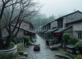 十年三月三十日（窦骁、古力娜扎同名电视剧_司徒、神隐演播