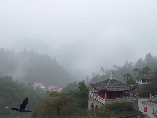 南怀瑾_南怀瑾讲述维摩诘经