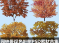 园林景观色叶树PSD素材合集PNG免抠图