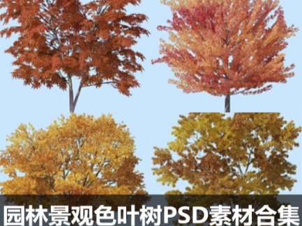 园林景观色叶树PSD素材合集PNG免抠图