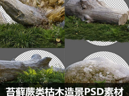苔藓蕨类枯木造景PSD素材合集乔木木桩后期植物