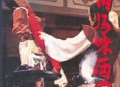 金庸有声小说《白马啸西风》下载