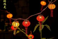 很纯很暧昧丨校花的贴身高手前传 _ 爆笑爽文_拿下校花