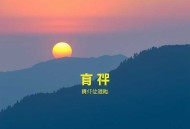 她靠武力制霸娱乐圈_电竞选手变女武神_慕强男主倒追