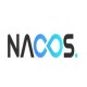 Nacos 核心原理解读+高性能微服务系统实战