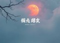 锦鲤娇妻，摄政王宠妻手册丨种田甜宠_权谋_团宠