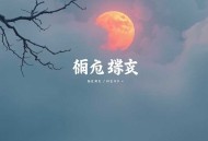 锦鲤娇妻，摄政王宠妻手册丨种田甜宠_权谋_团宠