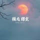 锦鲤娇妻，摄政王宠妻手册丨种田甜宠_权谋_团宠