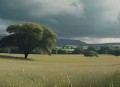 bbc纪录片合集字母分类--B