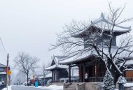 金蚕往事：原名苗疆蛊事（14册大合集）_ 青雪播讲巫蛊小说