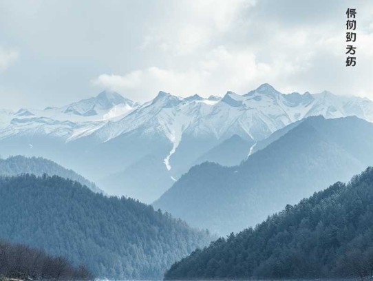 一笑随歌丨雪月之下丨古言权谋丨李沁丨陈哲远丨影视