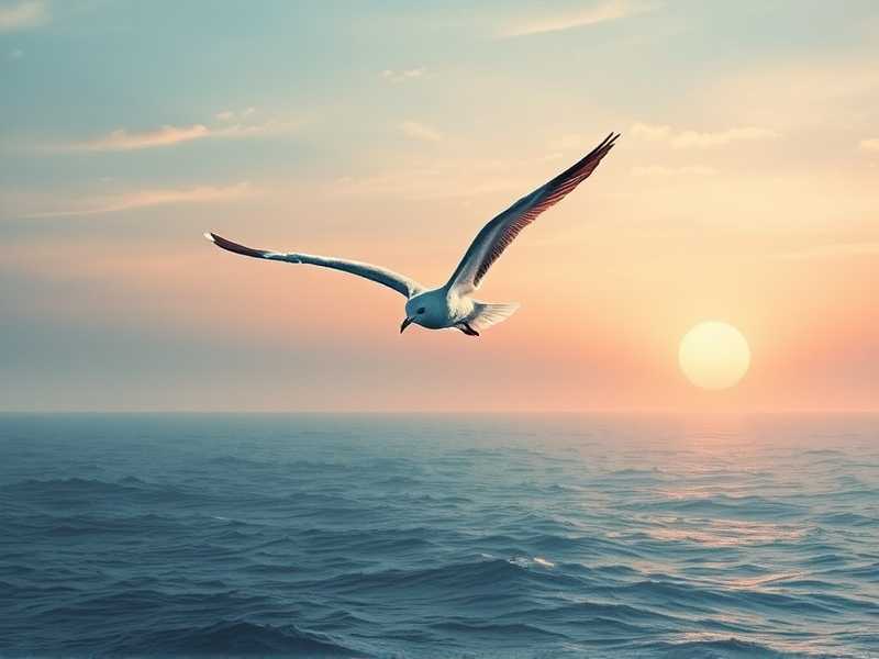 冷刺 文 天地飘鸥 播音：闲云野鹤