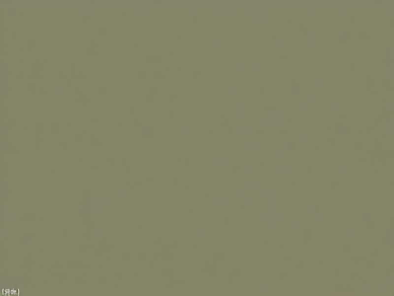 莫言中篇小说合集｜白棉花司令的女人艾宝良周建龙演播